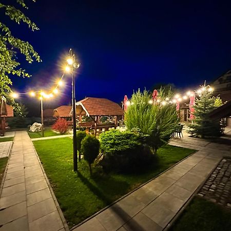 Vila Hora Cu Brazi Zărneşti エクステリア 写真