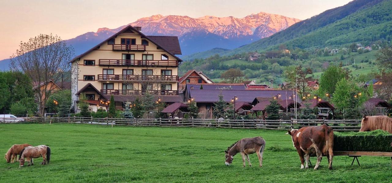 Vila Hora Cu Brazi Zărneşti エクステリア 写真
