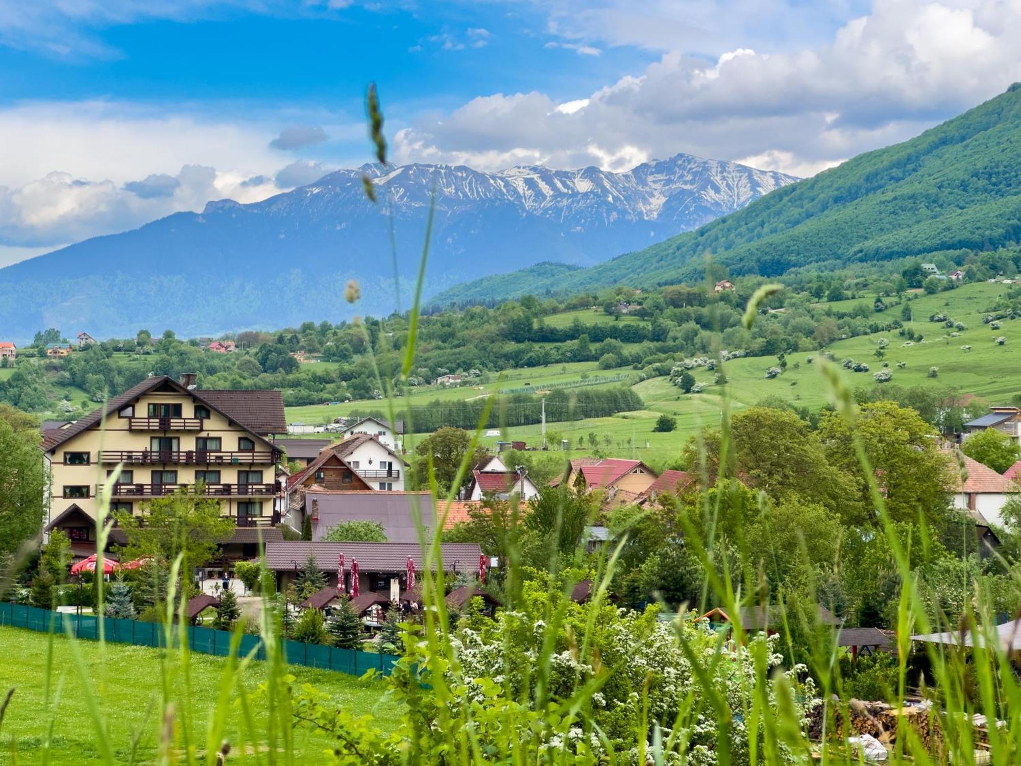 Vila Hora Cu Brazi Zărneşti エクステリア 写真