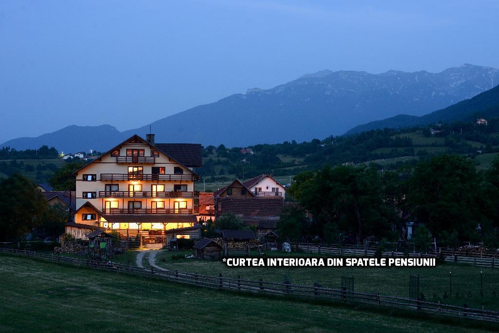 Vila Hora Cu Brazi Zărneşti エクステリア 写真
